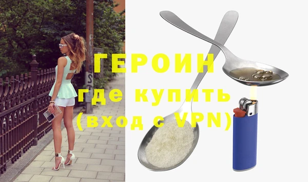 дживик Ельня