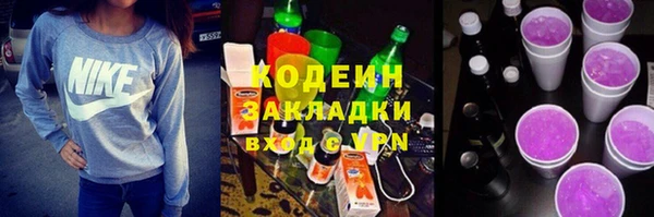 дживик Ельня