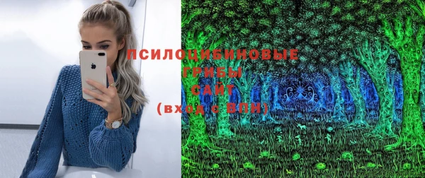 дживик Ельня