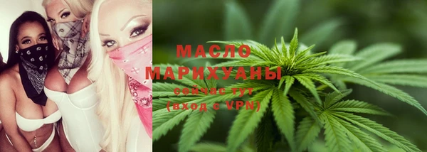 дживик Ельня