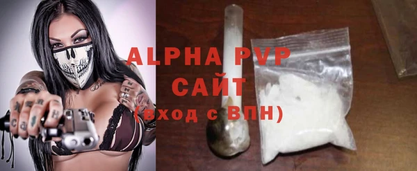 дживик Ельня