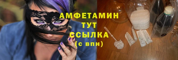 дживик Ельня