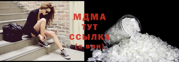 дживик Ельня