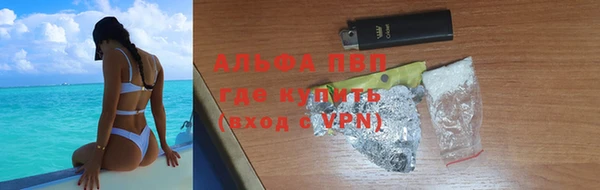 дживик Ельня
