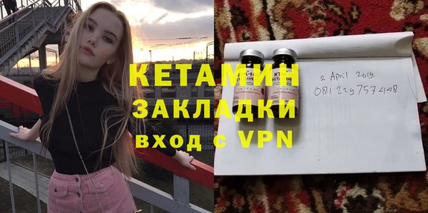 дживик Ельня