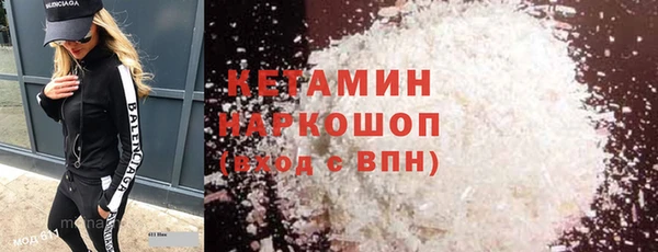 дживик Ельня