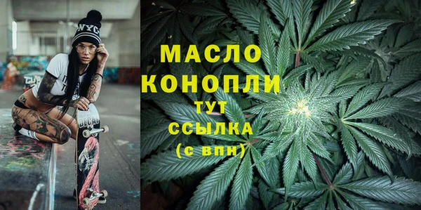дживик Ельня