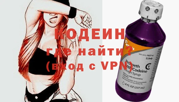дживик Ельня