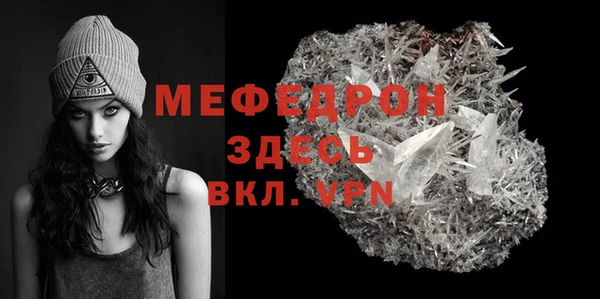 дживик Ельня