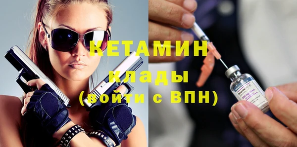 дживик Ельня