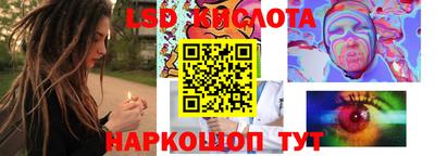 амф Кандалакша