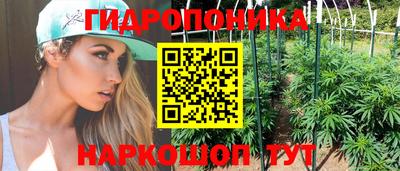 амф Кандалакша