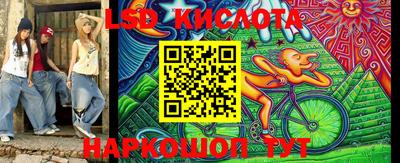 дживик Кингисепп