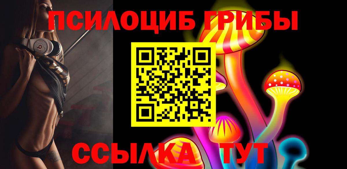 Псилоцибиновые грибы GOLDEN TEACHER  где продают наркотики  Урюпинск  Вход с VPN  Псилоцибиновые грибы ЛСД 